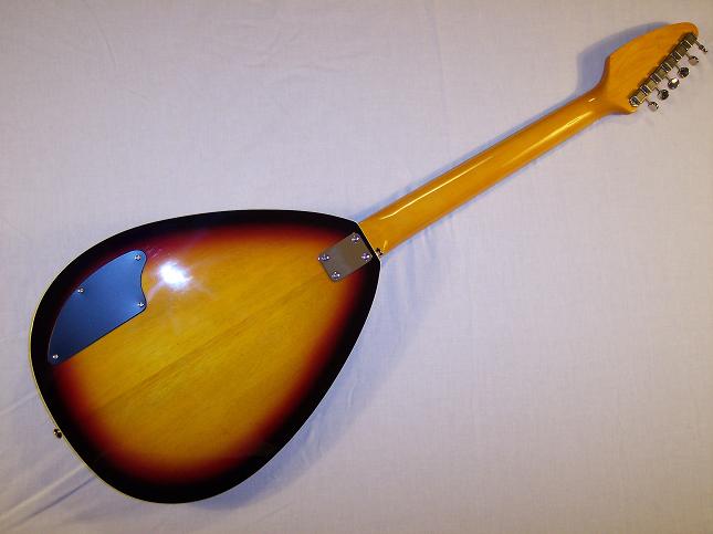 Teardrop Hollow Body Picture 2